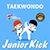 Taekwondo Indonesia Dojang junior kick ti-juniorkick.com