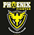PHOENIX FIGHTER ti-phoenixfighter.com